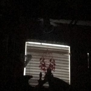 Meet your Posher, Norma